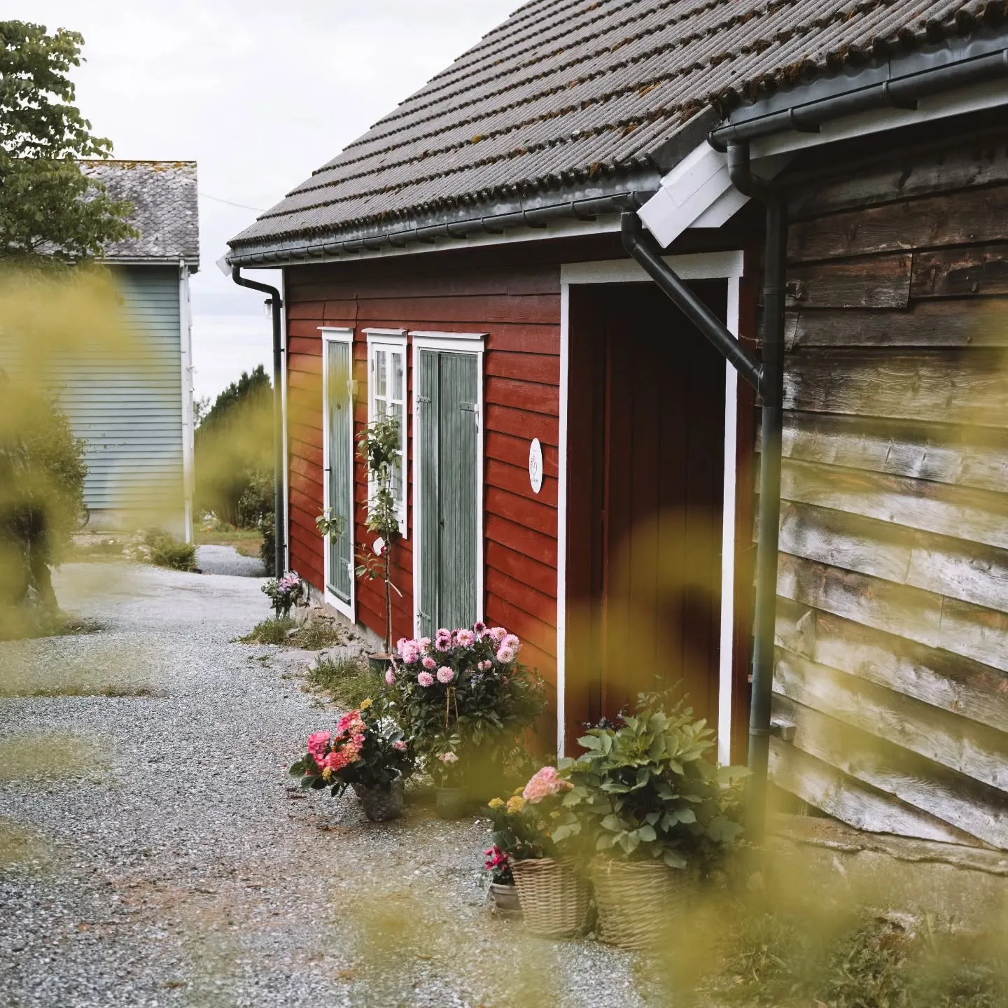 Aarvik gard