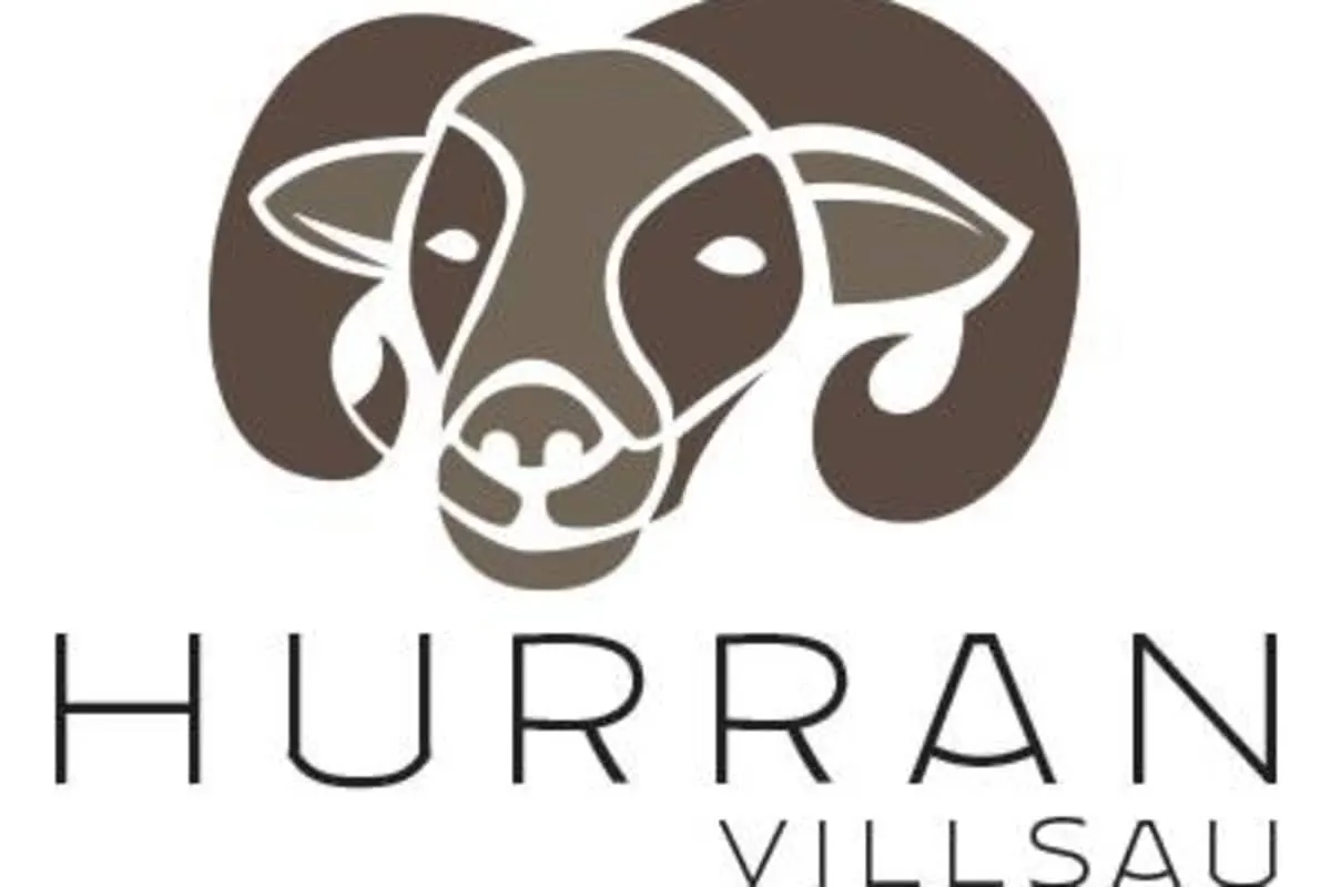 Hurran Villsau bilde 5
