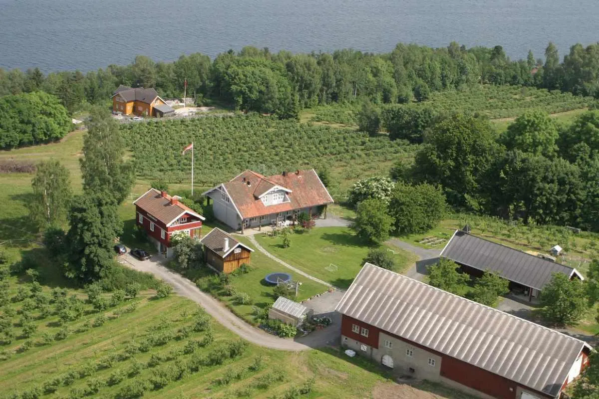 Eplegården Storsand bilde 4