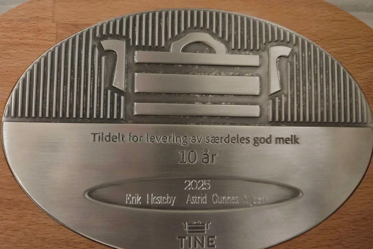 Nesteby Øvre bilde 4