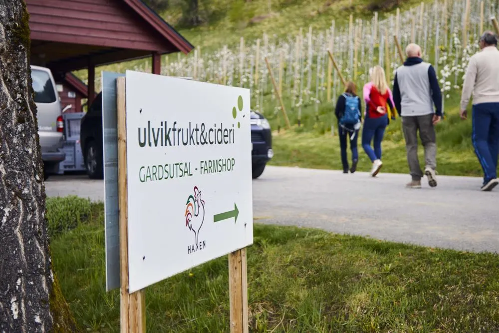 Ulvik frukt & cideri bilde 4