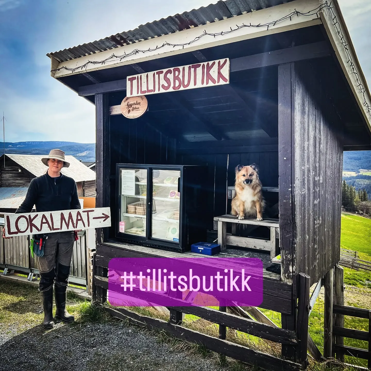 Sygarden i Hålien