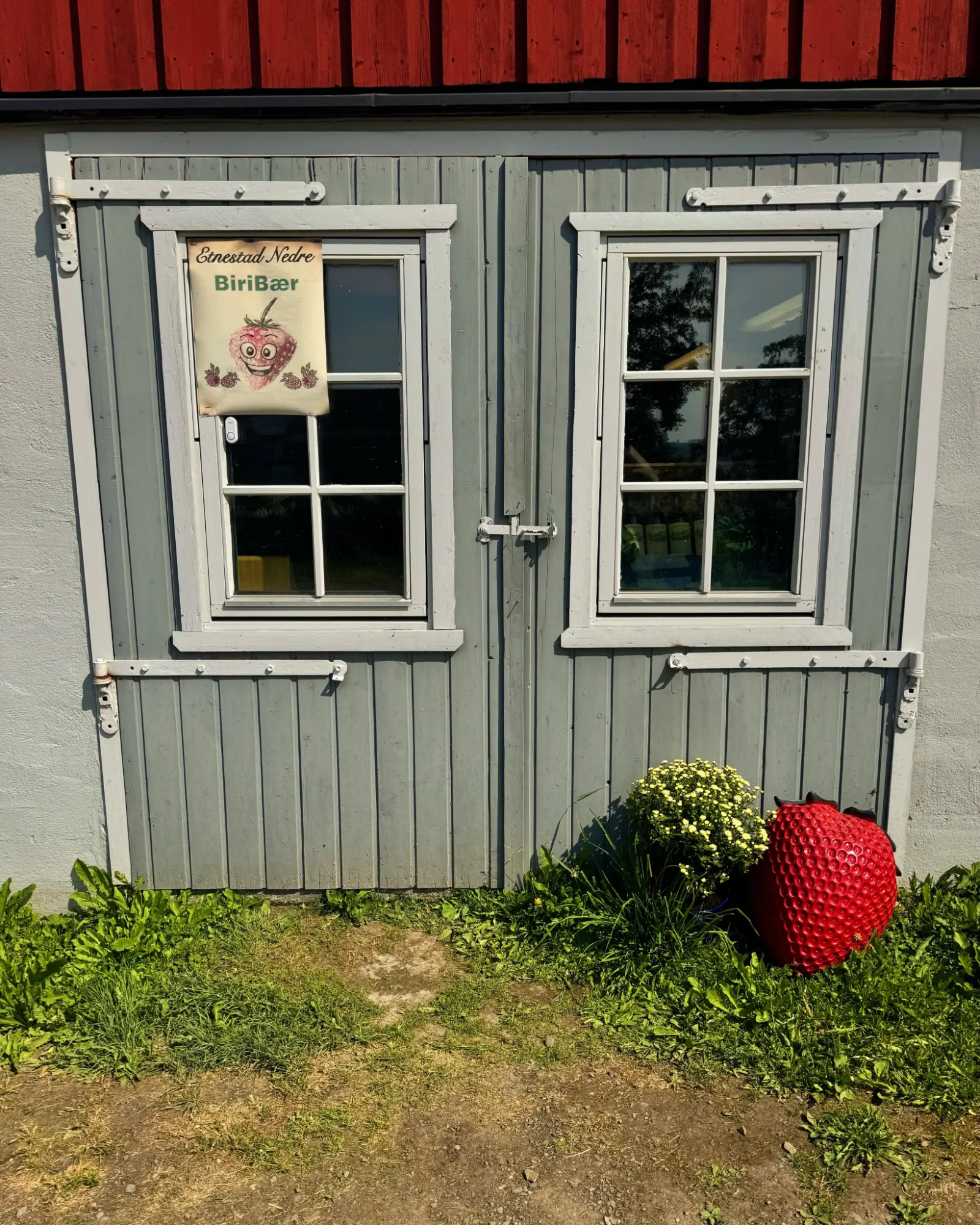 Etnestad Nedre / Biri bær