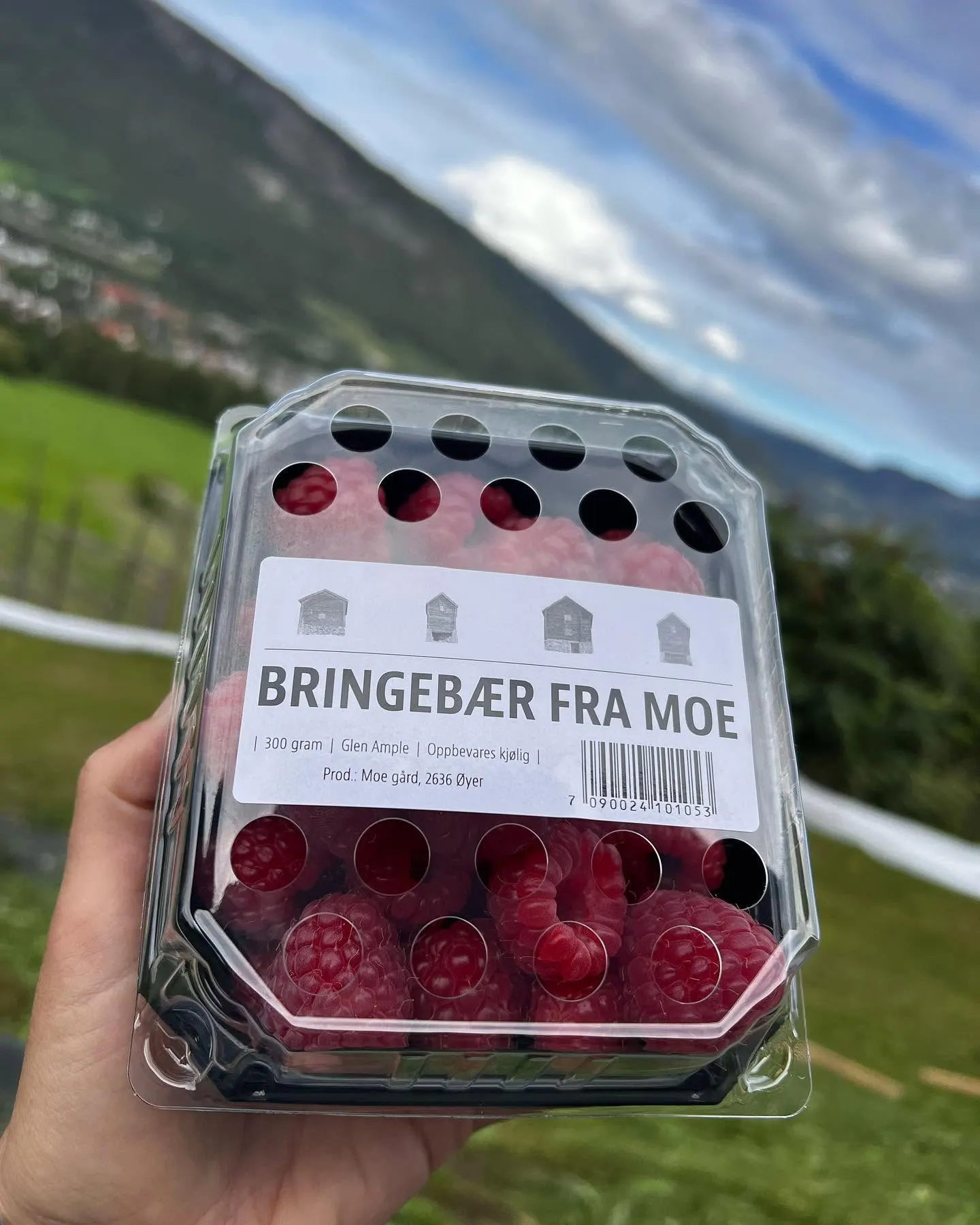 Moe Gård bilde 5