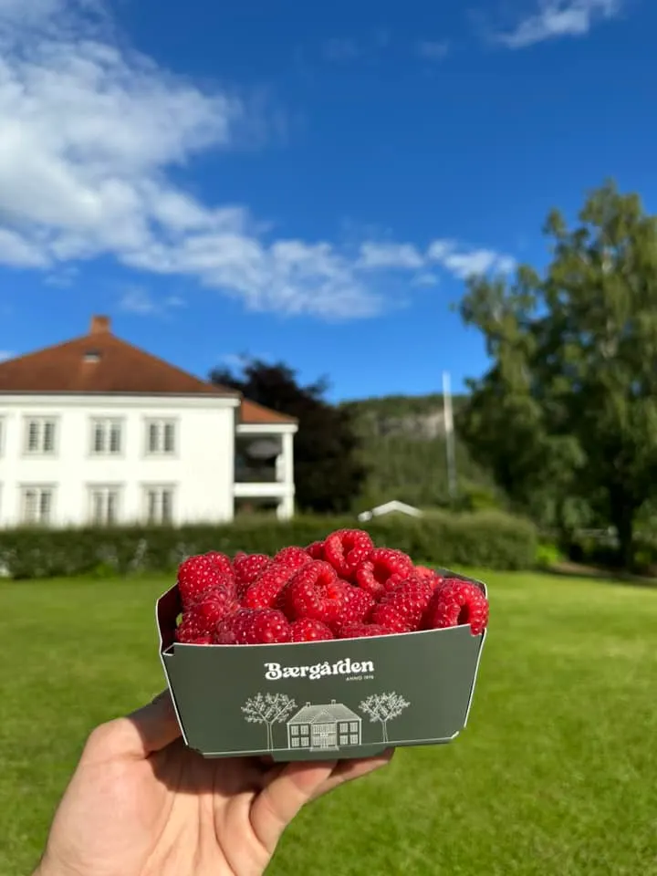 Bærgården bilde 4