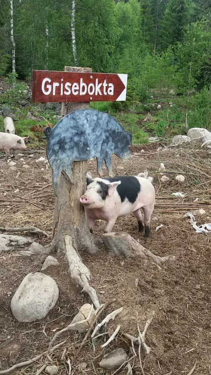 Bakken Øvre Gårdsmat