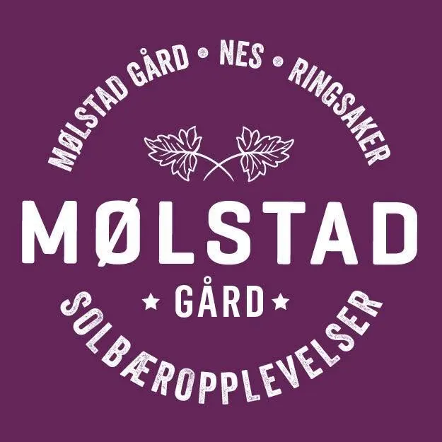 Mølstad gård, Bild 3