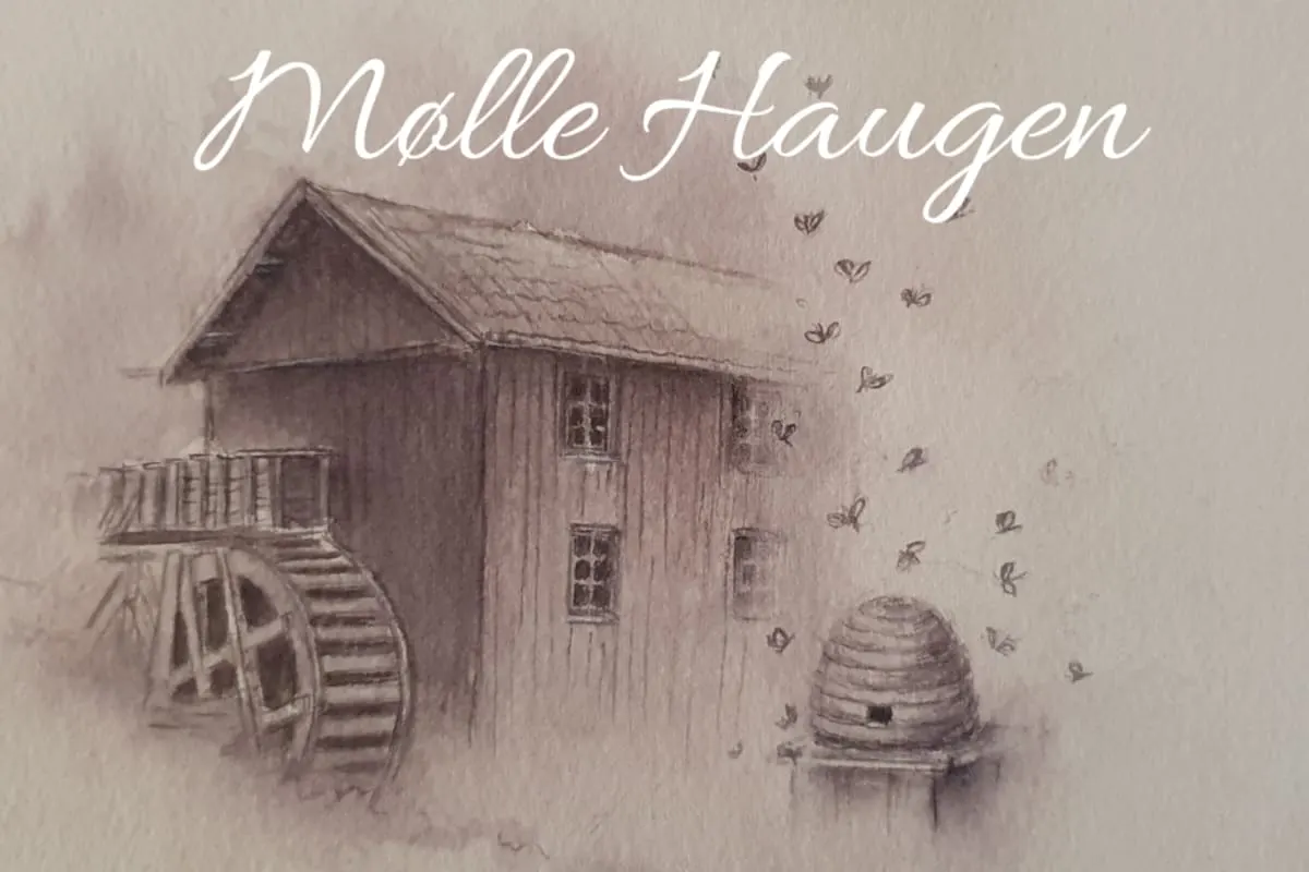 Mølle Haugen bilde 4