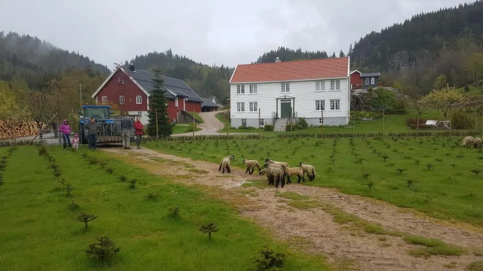 Fiddan Øko-Gård