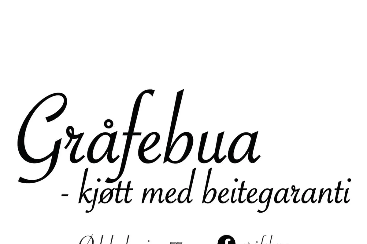 Gråfebua