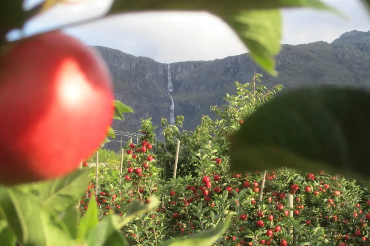 Helleland gard bilde 4
