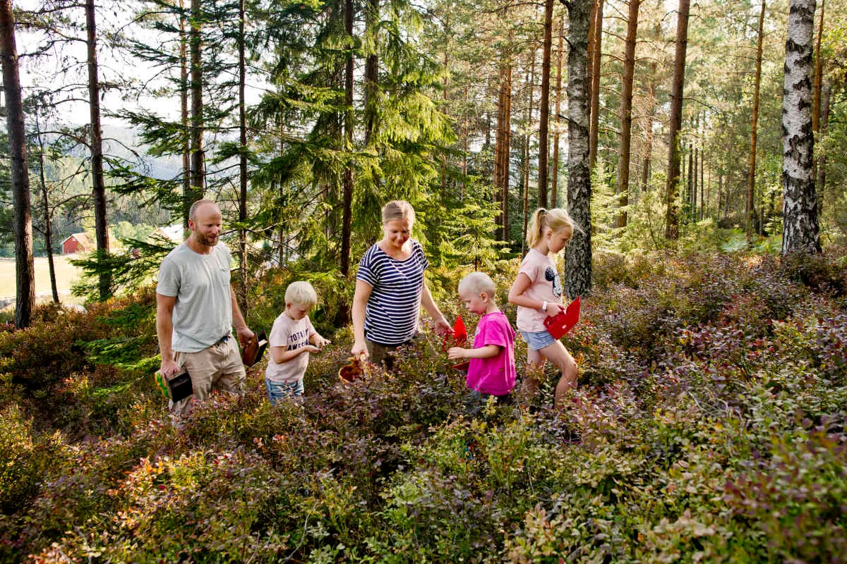 Røyland Gård AS bilde 3