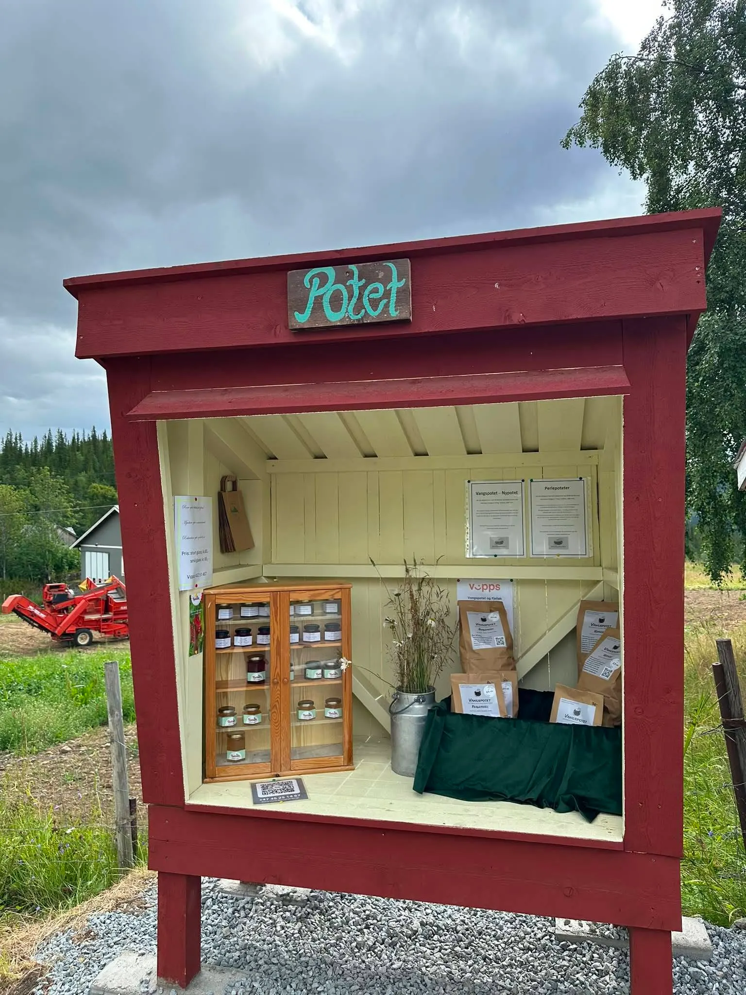 Vangspotet