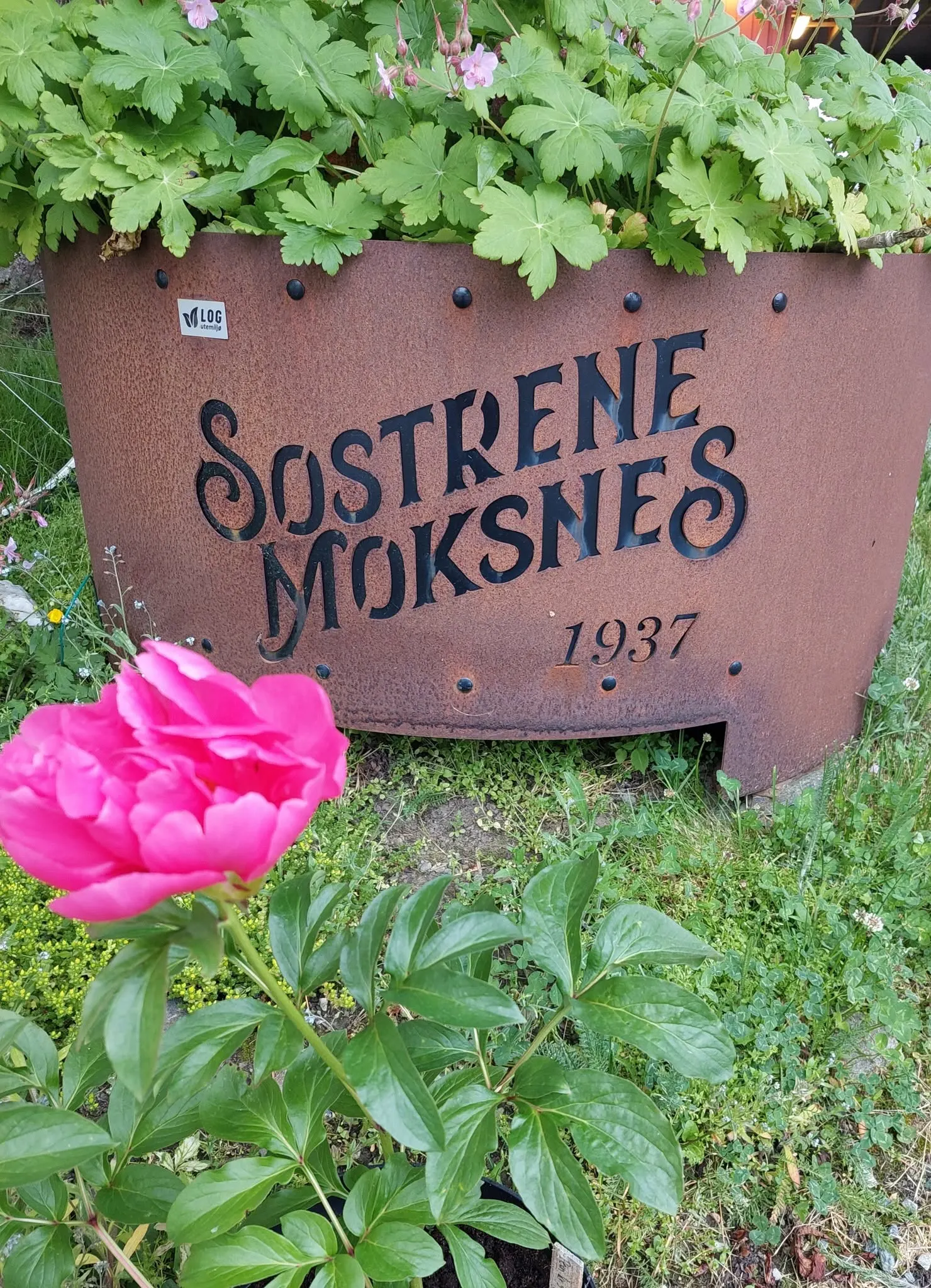 Søstrene Moksnes bilde 4