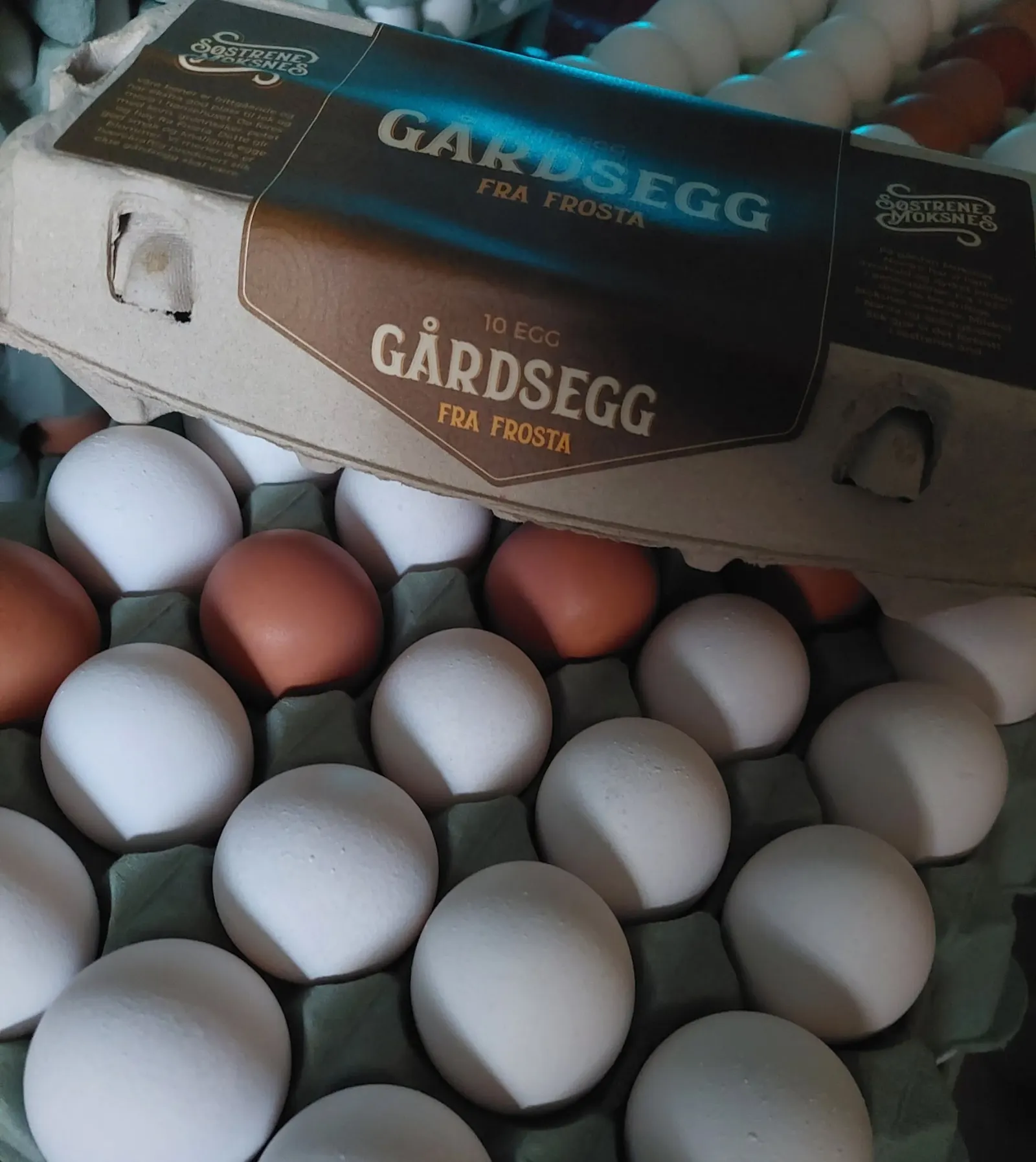 Søstrene Moksnes bilde 3