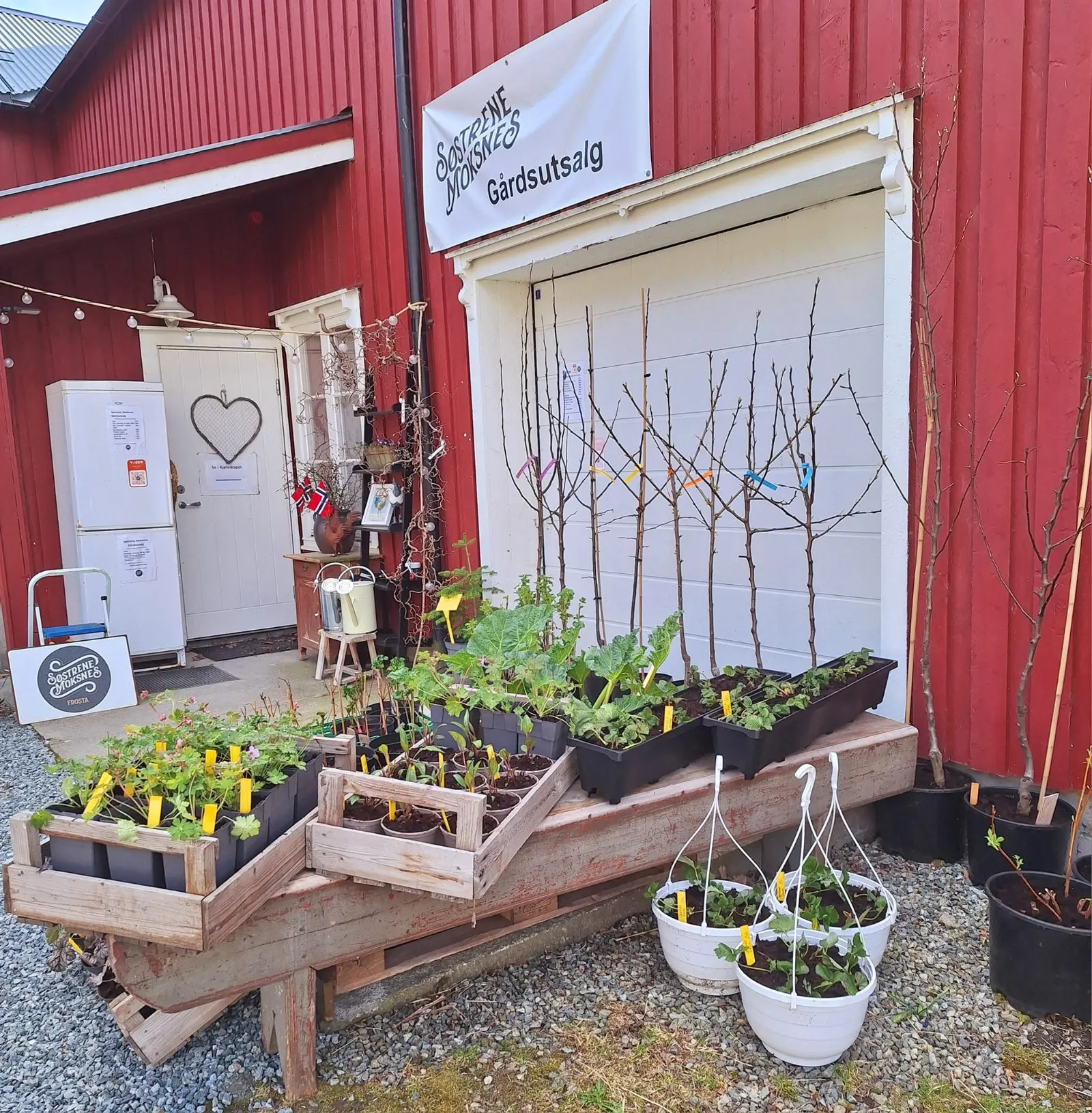 Søstrene Moksnes