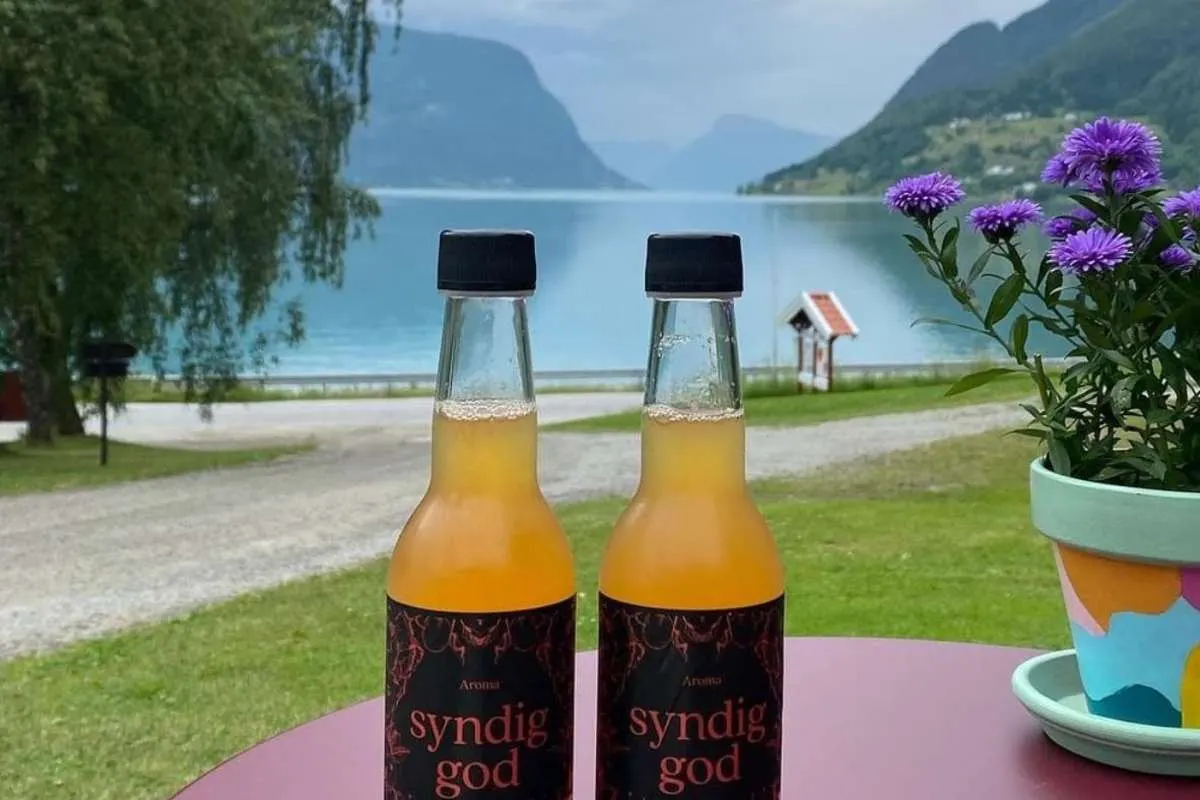 Bolstad Neverdal Fruktgard (Skjolden Sideri)