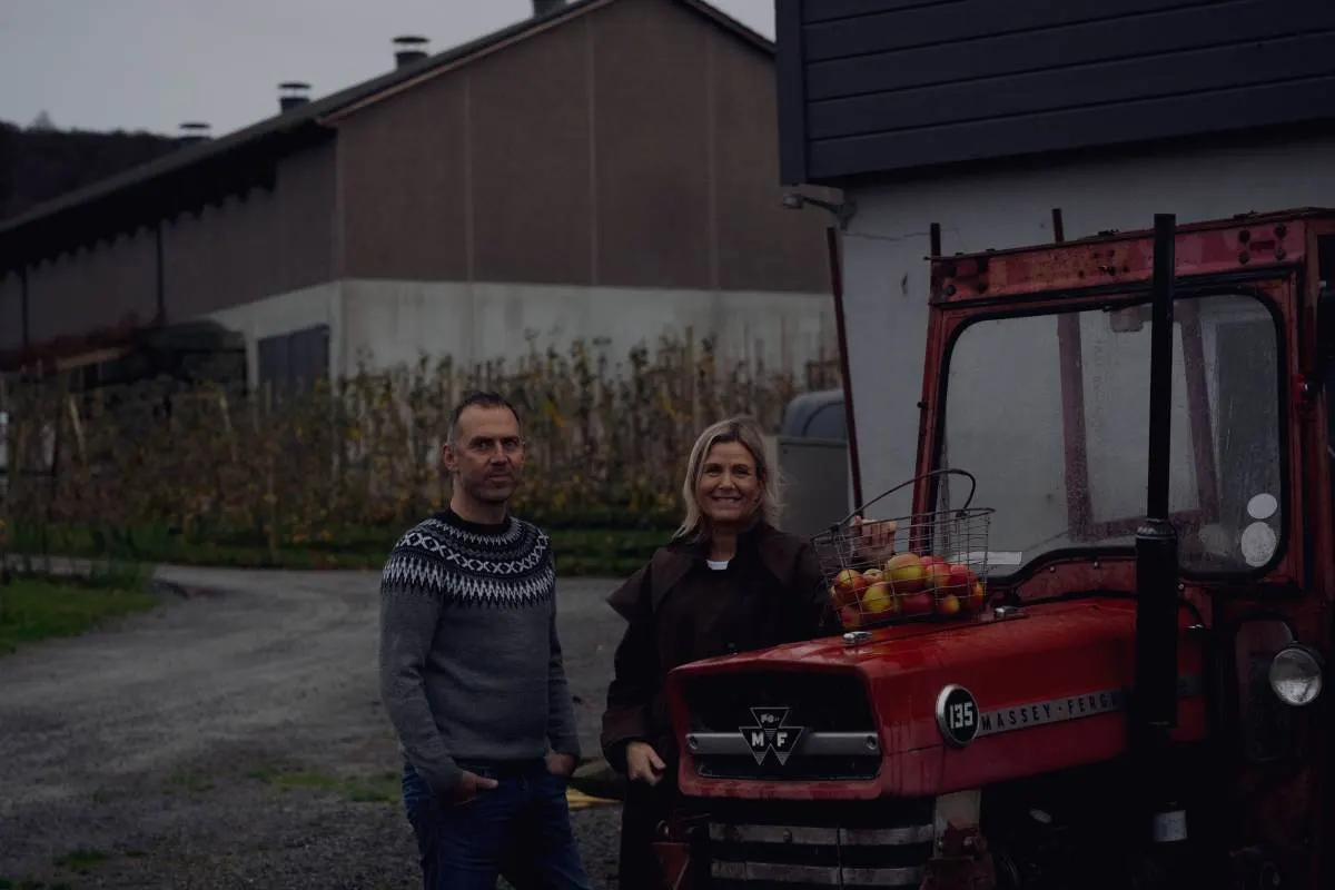 Sverre Vanvik bilde 4