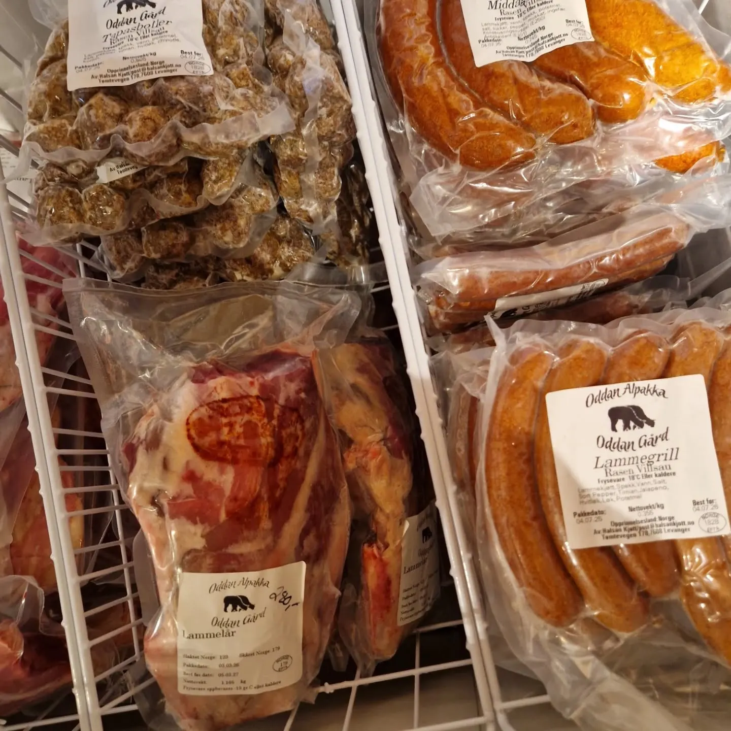 Oddan alpakka bilde 4