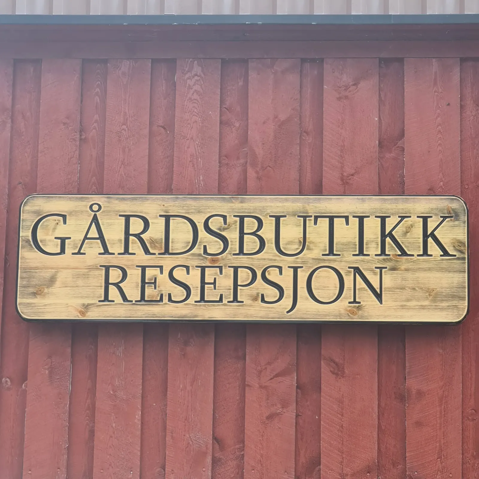 Oddan alpakka