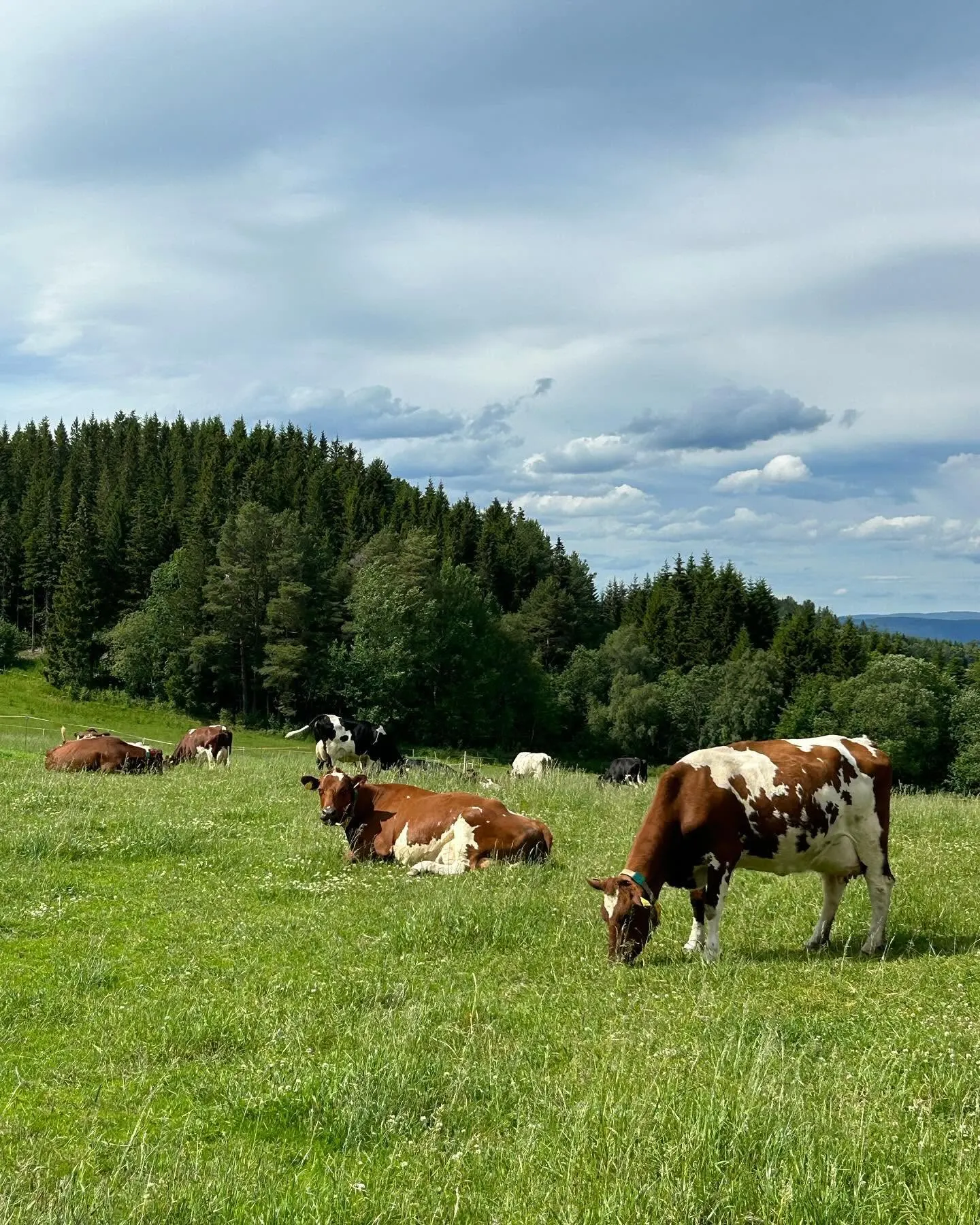 Høstadsand Gård