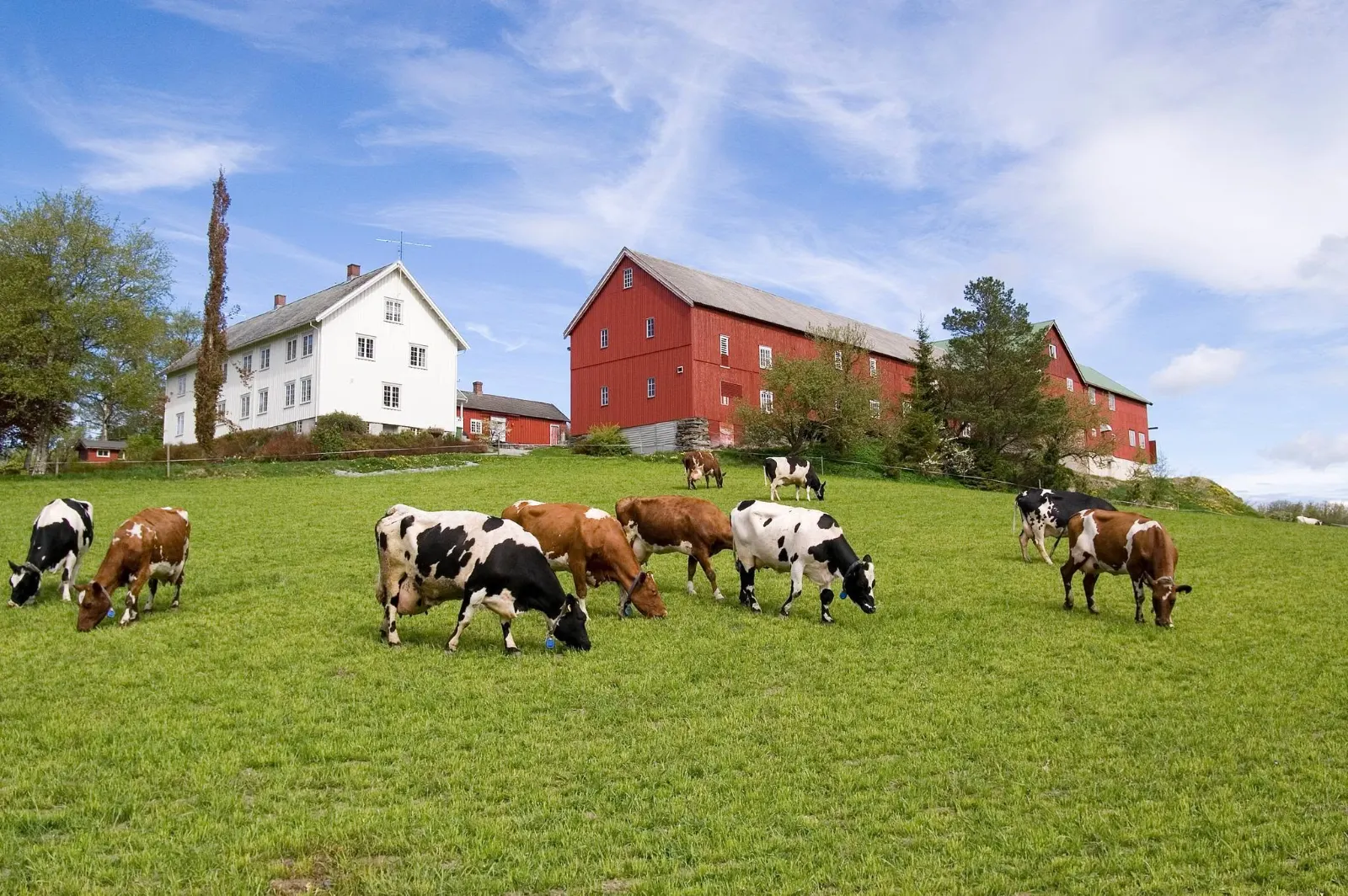 Gangstad Gårdsysteri bilde 3