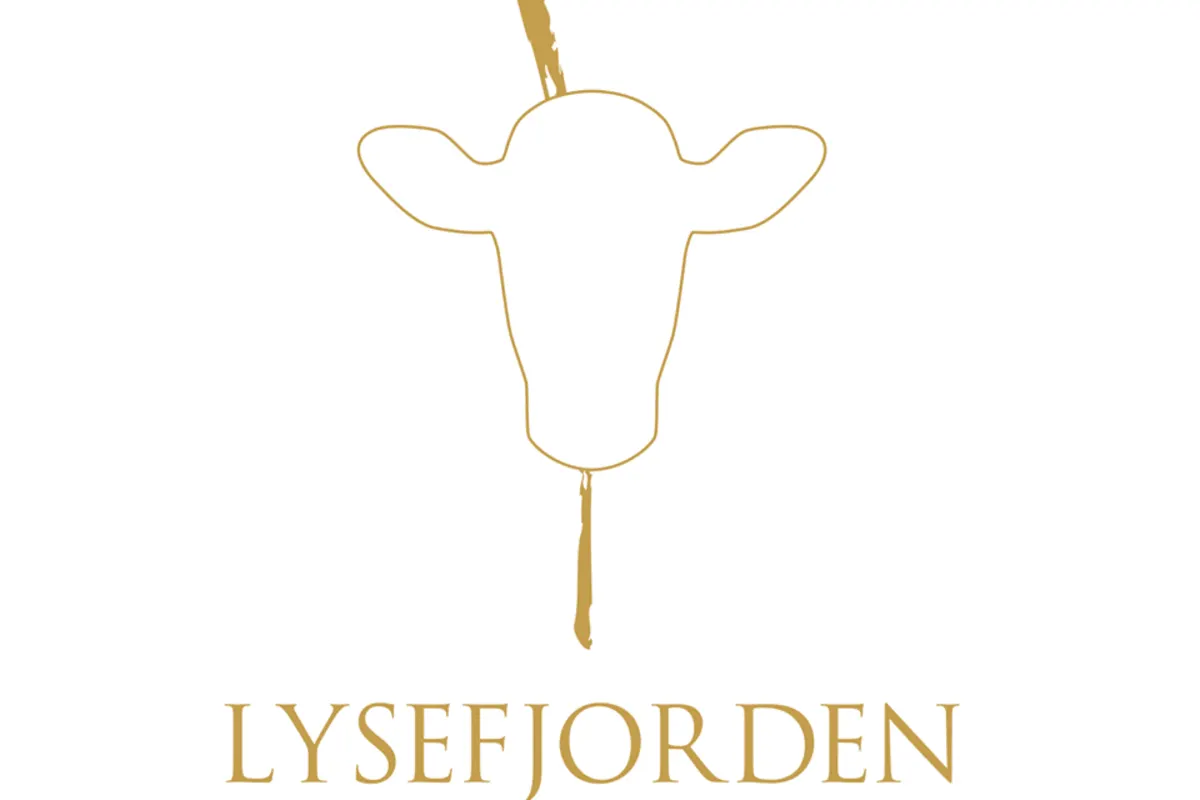 Lysefjorden Sjokolade Produksjon AS bilde 4