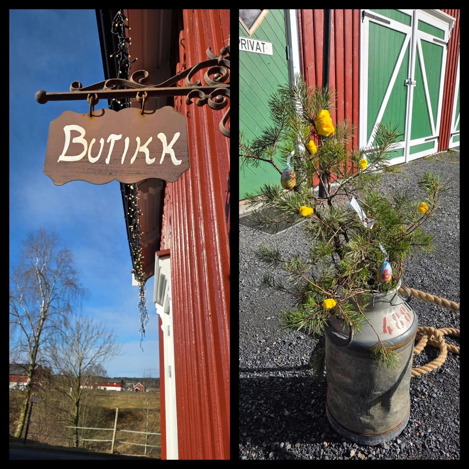 Bjunegårdsdrift