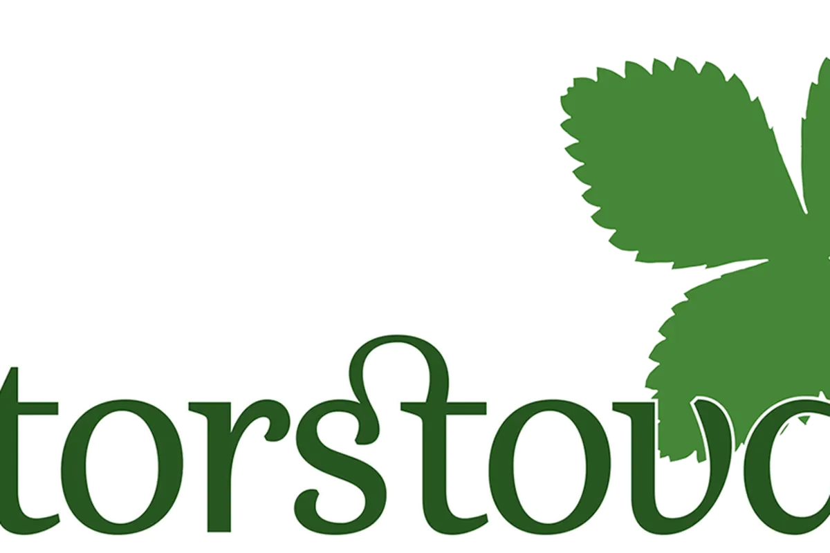 Storstova bilde 5