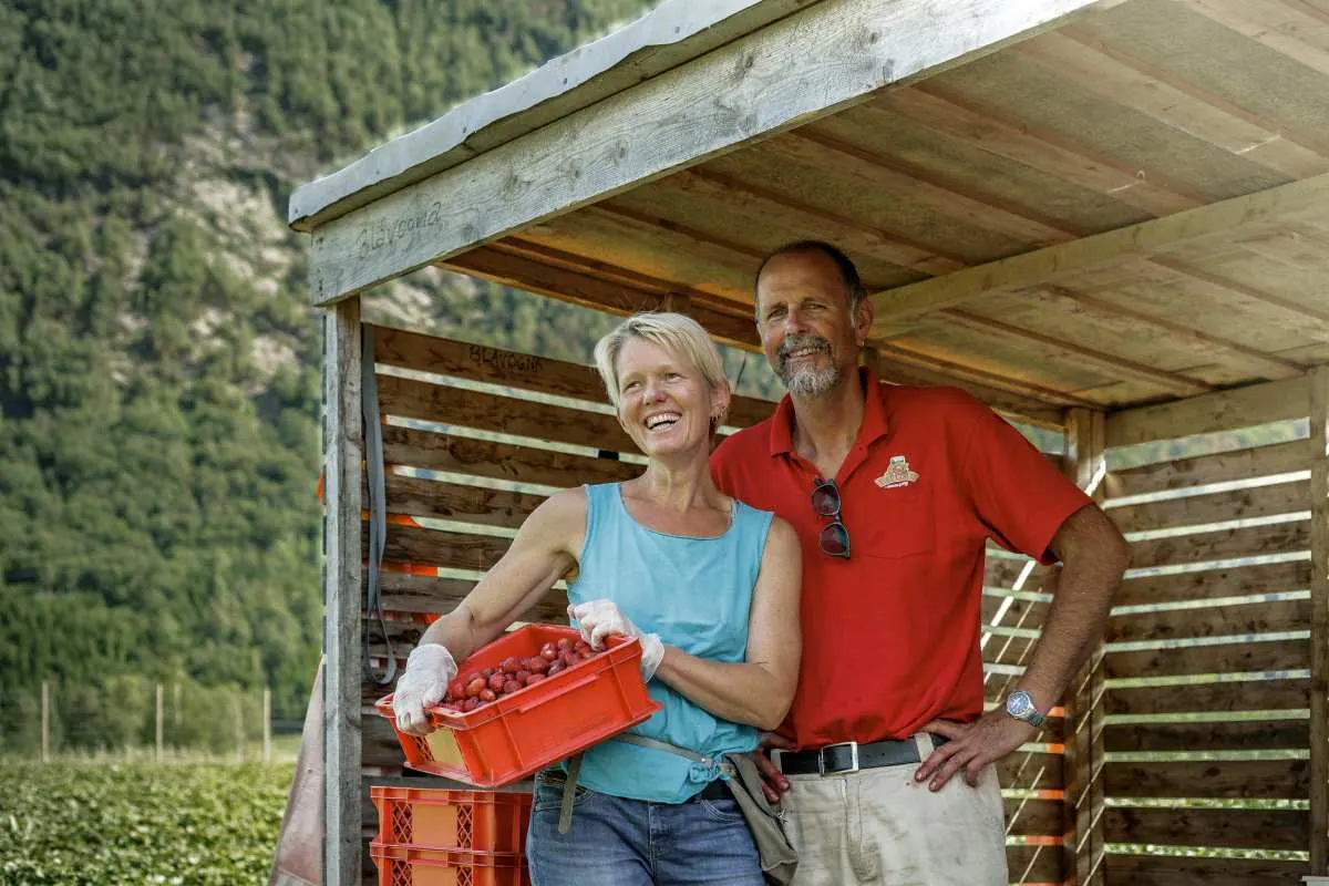 Storstova bilde 3