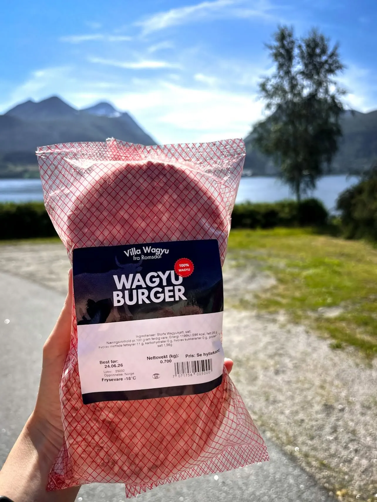 Villa Wagyu (Villa Samdrift)