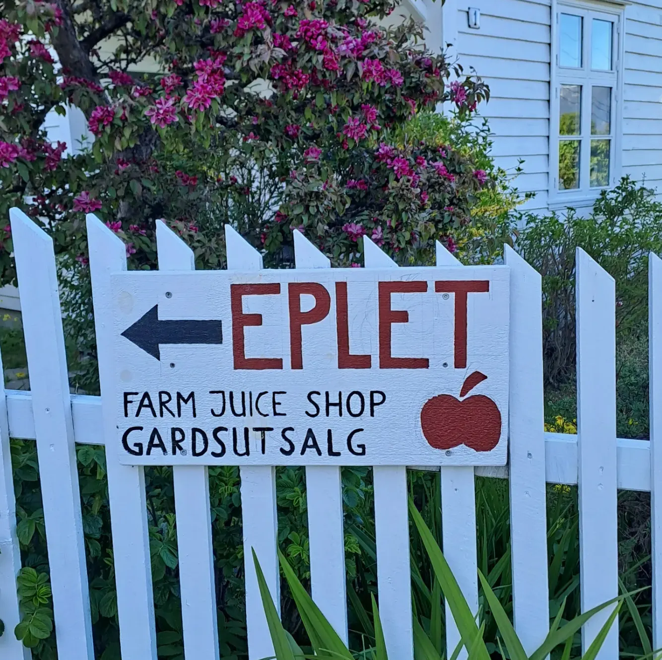 Eplet Bed & Apple bilde 3