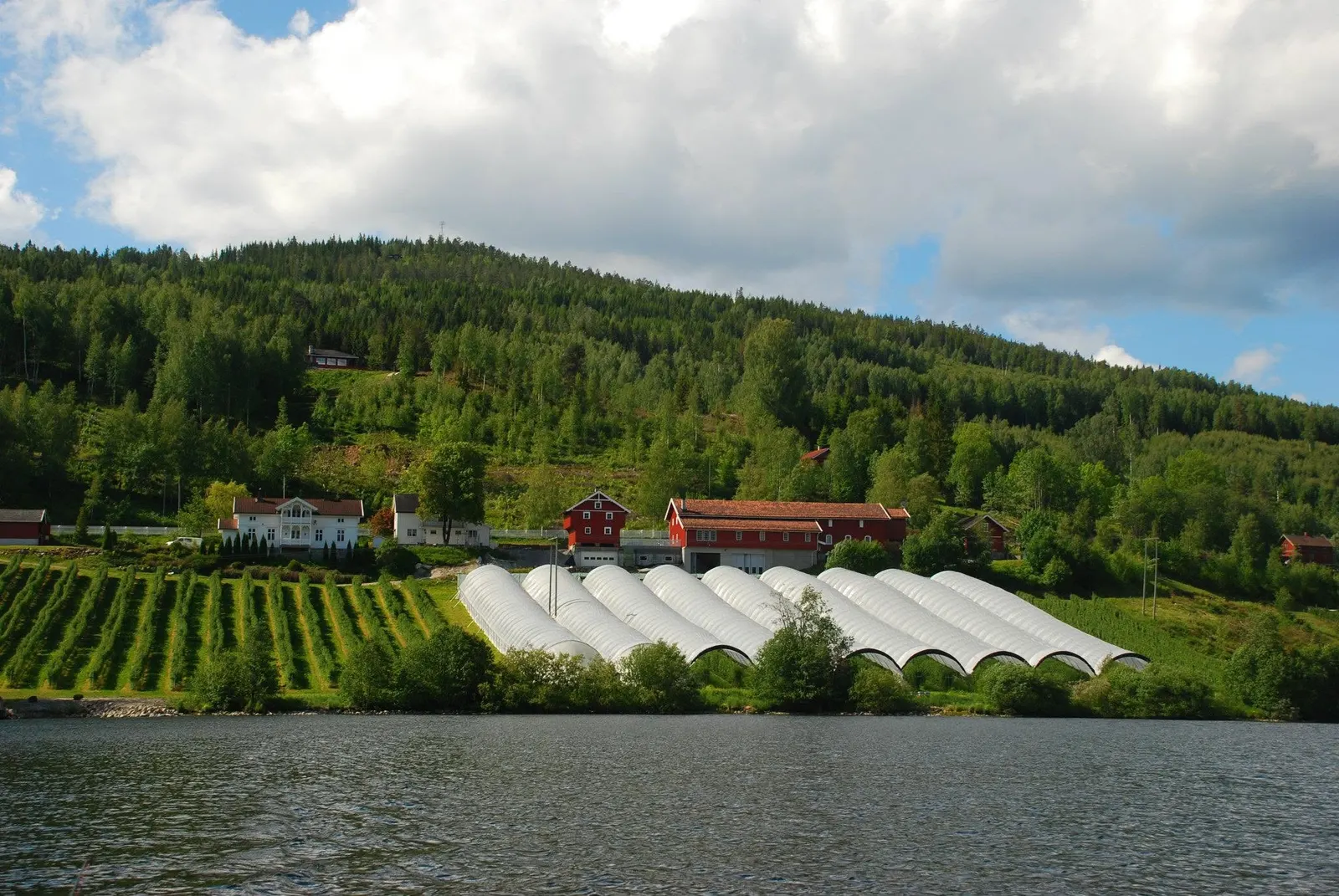 Bjerkerudbær / Søndre Bjerkerud Gård