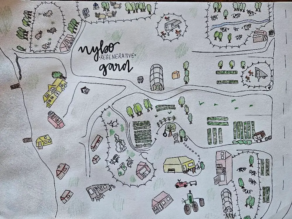 Nybo Regenerative Gård bilde 5