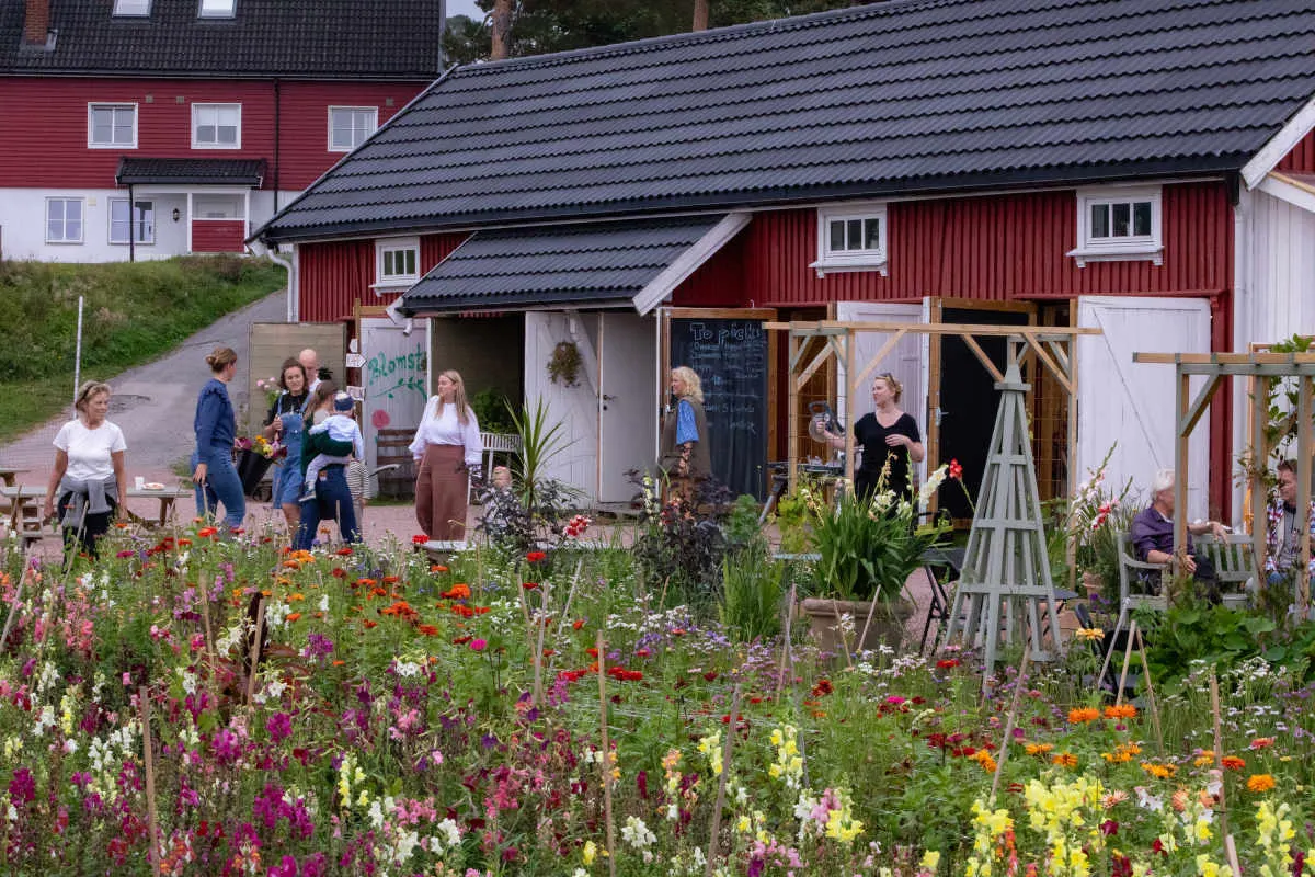 FioriBlomster AS