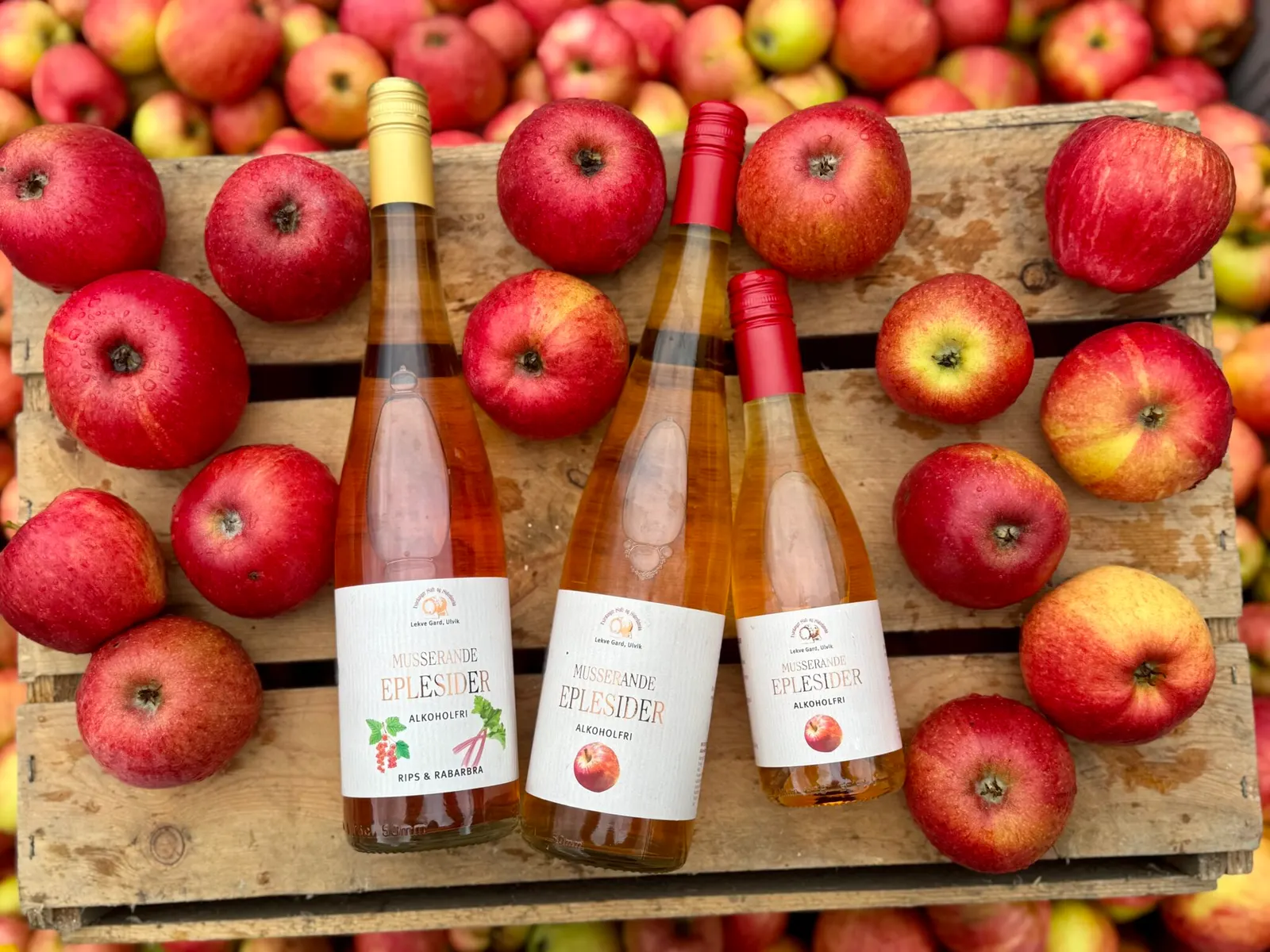 Hardanger Saft og Siderfabrikk bilde 4