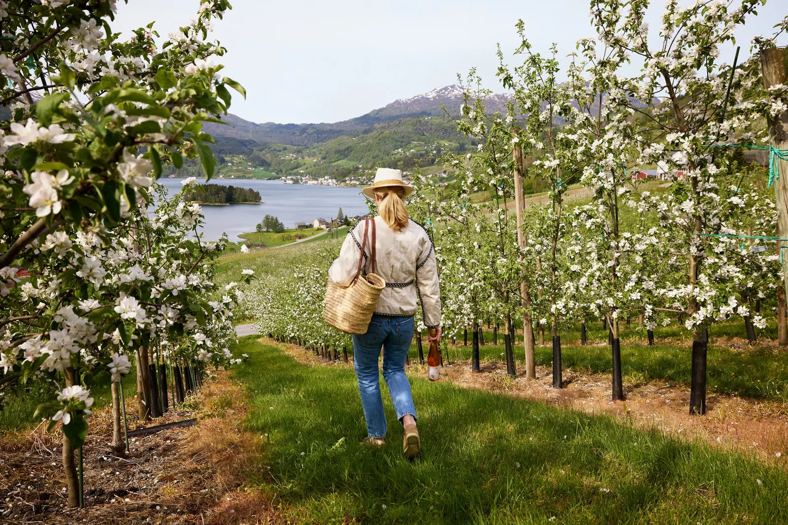 Hardanger Saft og Siderfabrikk
