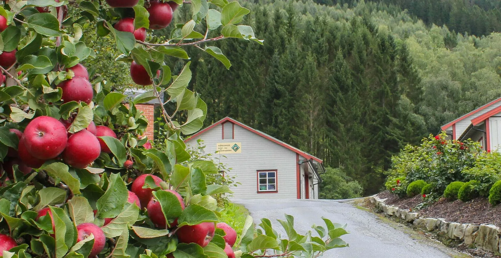 Hardanger Saft og Siderfabrikk bilde 3