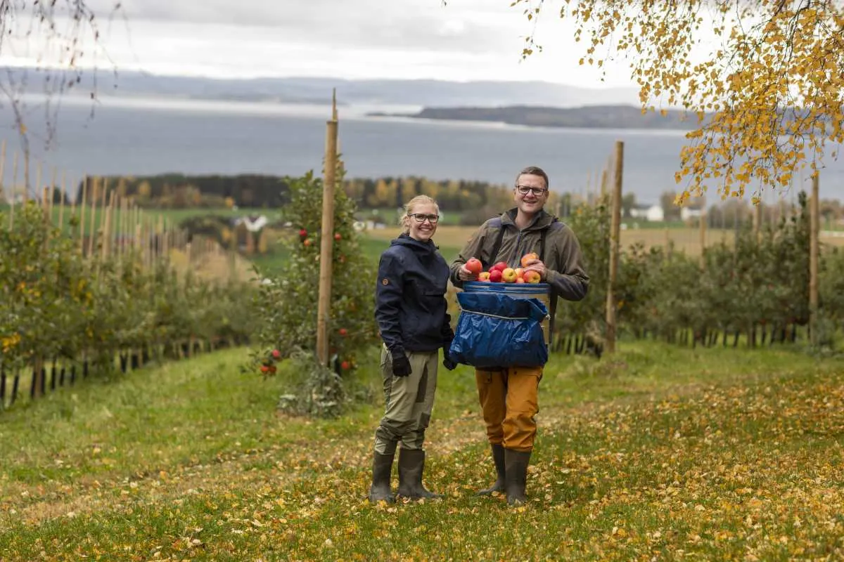 Inderøy Mosteri AS bilde 3