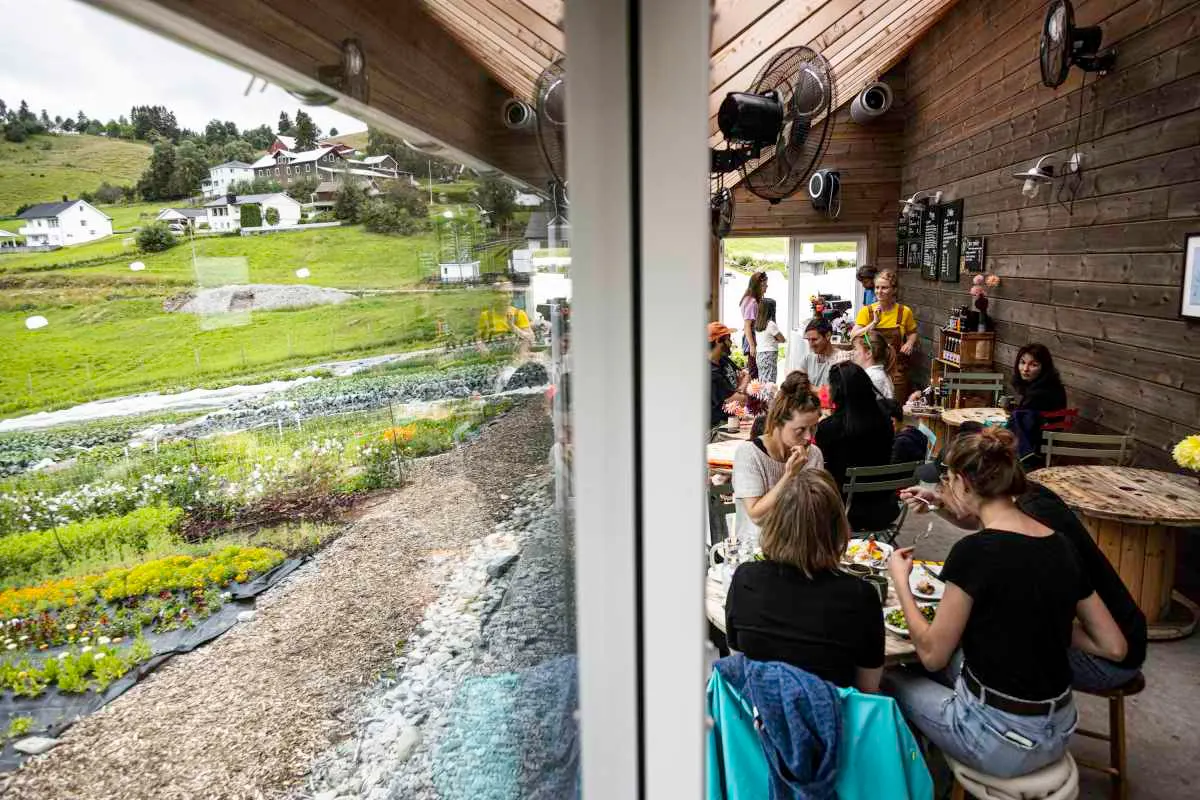 Bøtun gard - Økologisk småbruk bilde 3