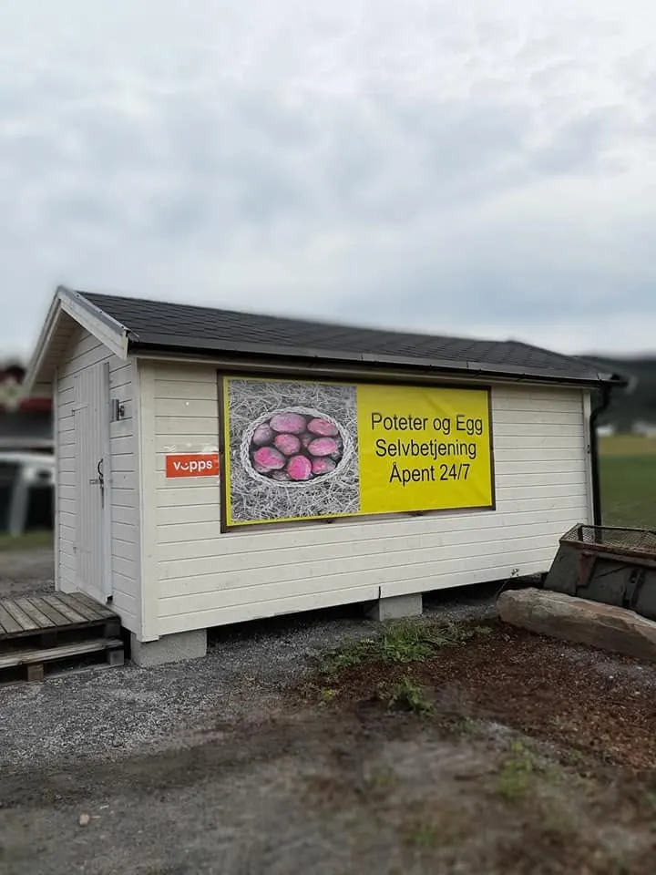 Poteter og Egg