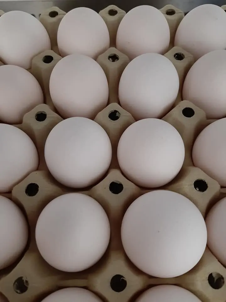 Poteter og Egg