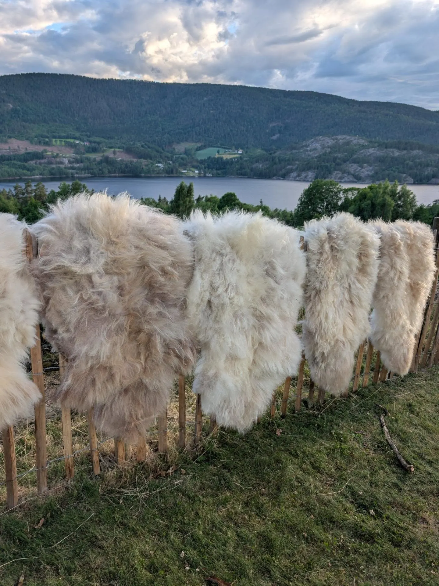 Ramberg Su-Neset bilde 5