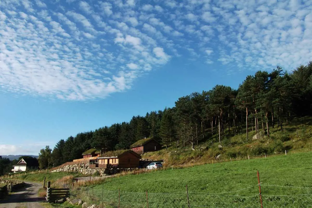 Søya Gardsutsalg bilde 4