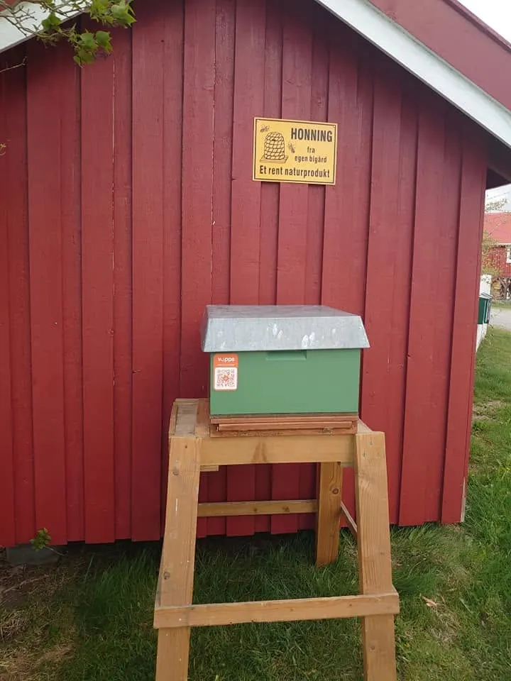 HonningMoen