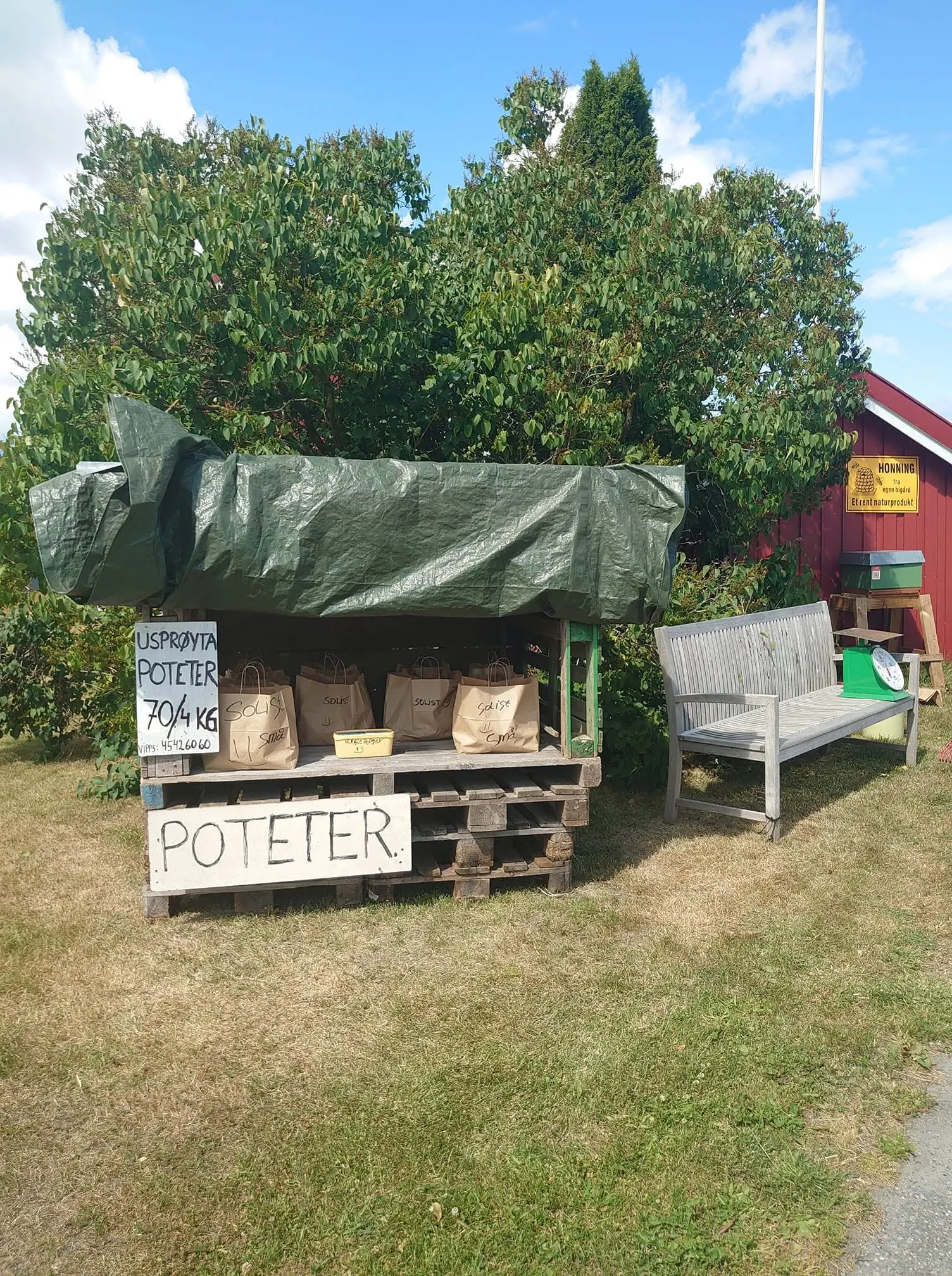 HonningMoen