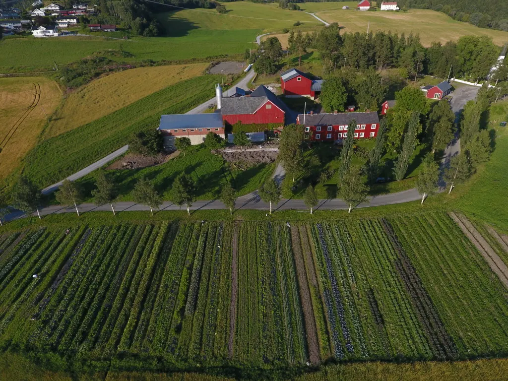 NerSalberg