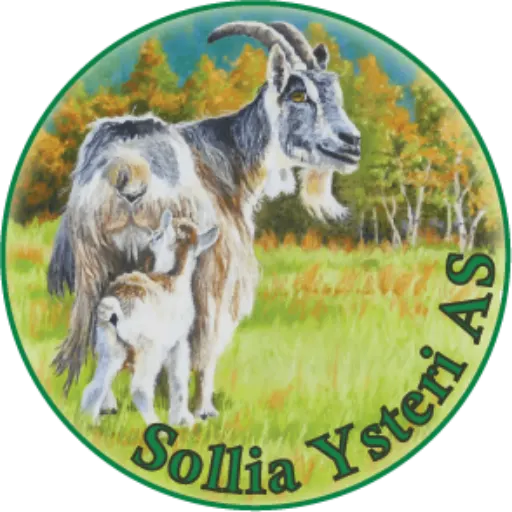 Sollia Ysteri bilde 3