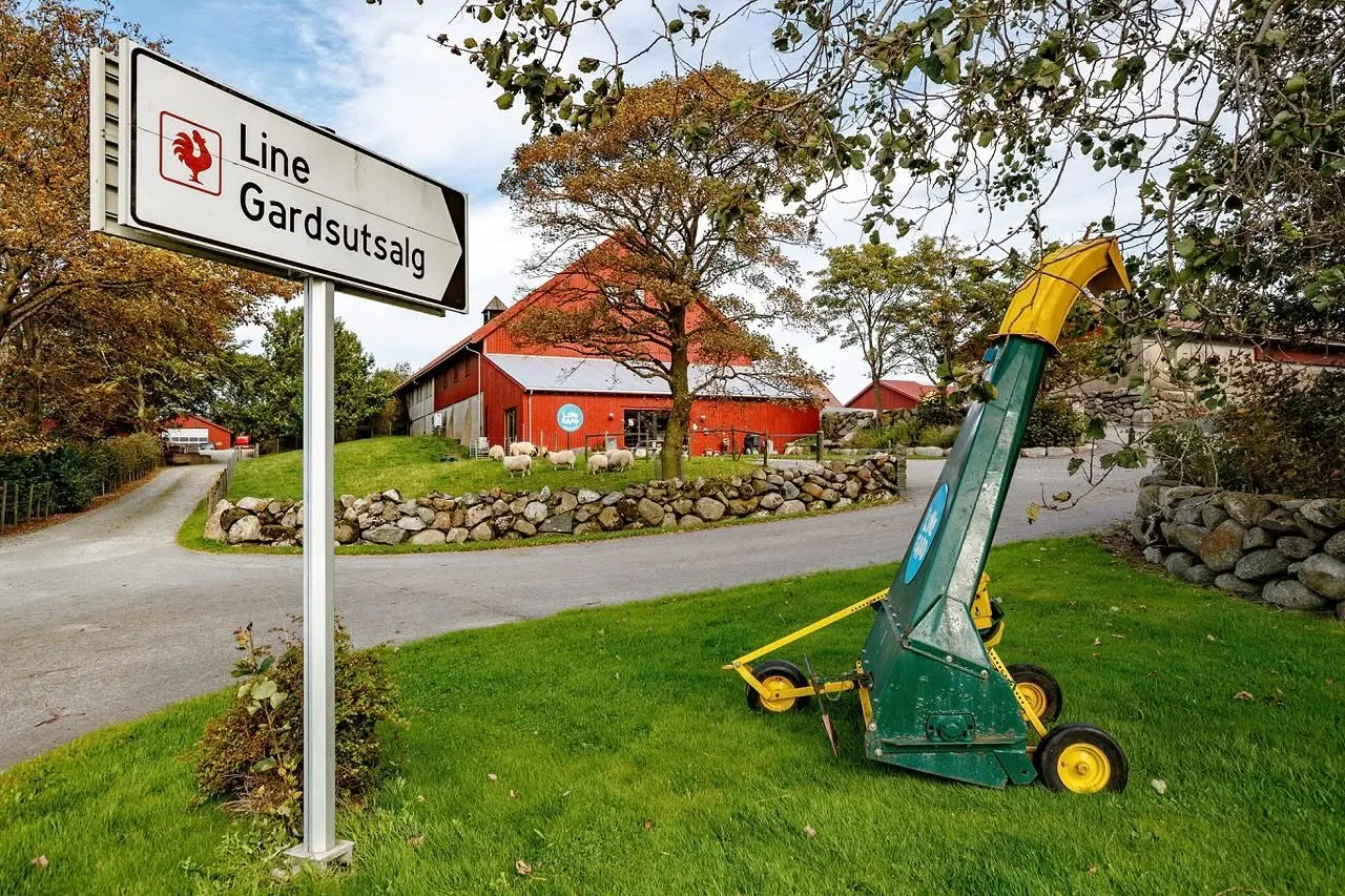 Line Gard