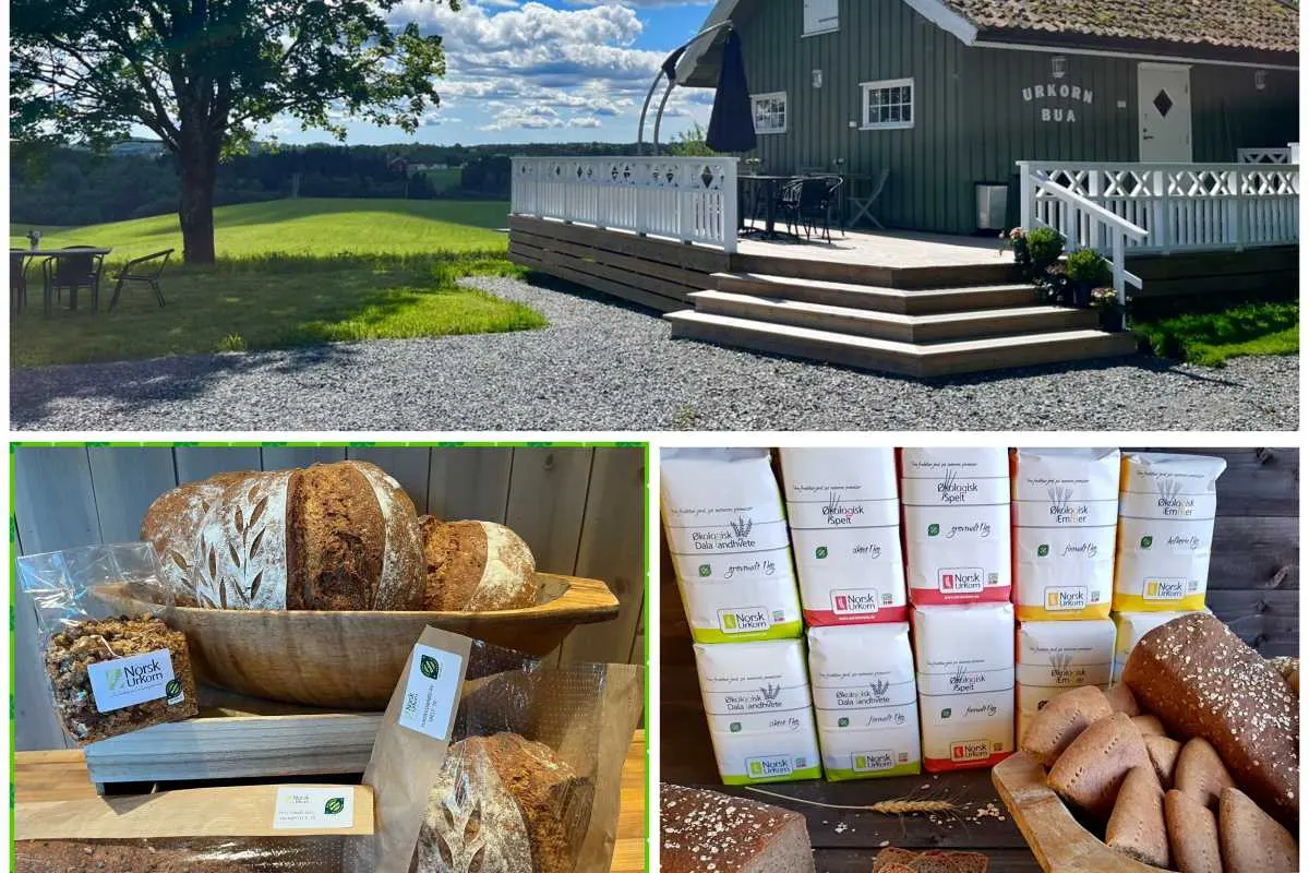 Norsk Urkorn AS